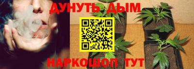 гашишное масло Кингисепп