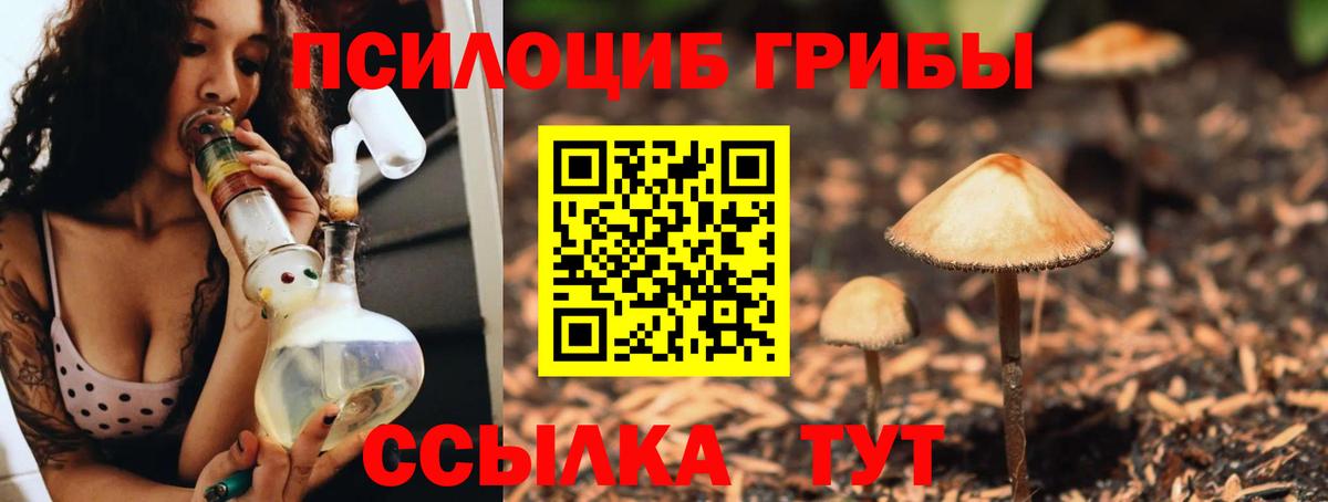Галлюциногенные грибы мицелий  Псилоцибиновые грибы GOLDEN TEACHER  Крымск  Вход с VPN 